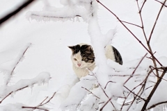 Camera1749453830337.avif